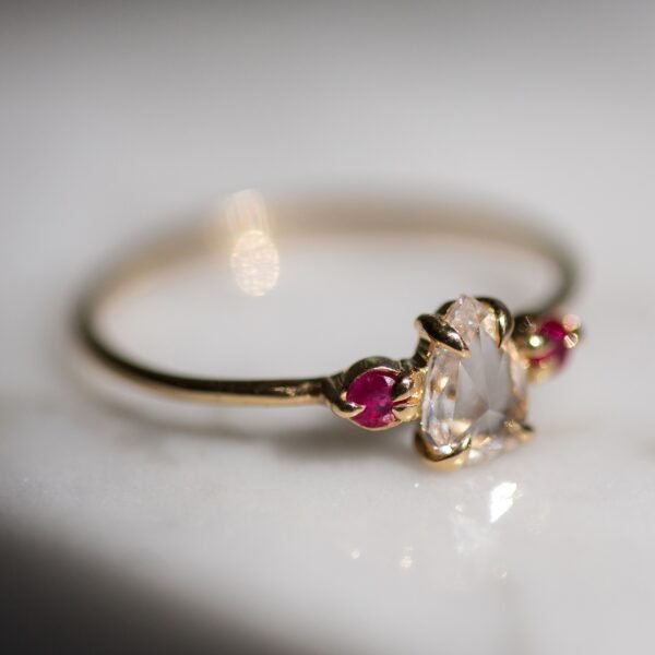 Leda the Swan, Rubies - Image 4
