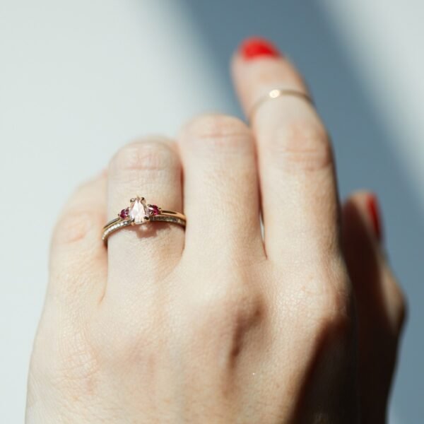 Leda the Swan, Rubies - Image 3