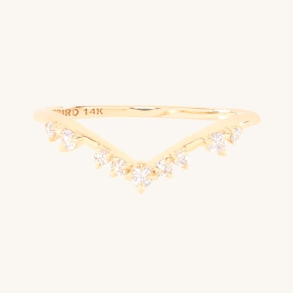 Night at the Ballet Curved Diamond Band
