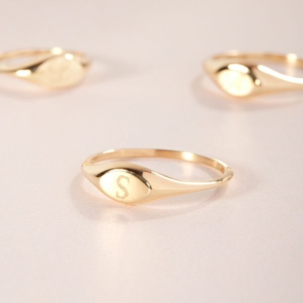 Dollhouse Signet Ring - Image 7
