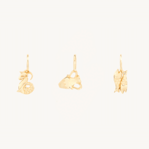 Tiniest Zodiac Charm