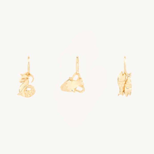 Tiniest Zodiac Charm