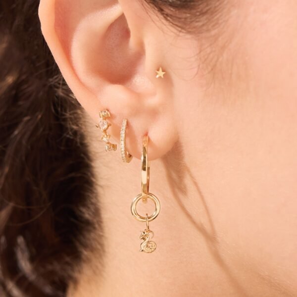 Tiniest Zodiac Charm - Image 5