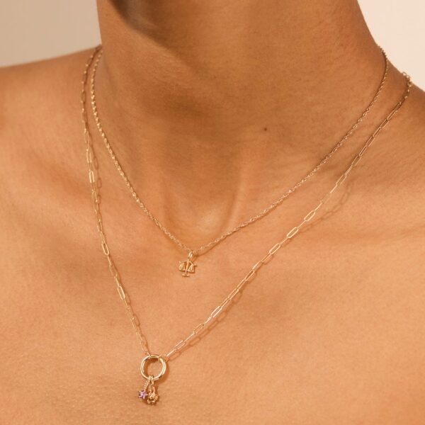 Tiniest Zodiac Charm - Image 4