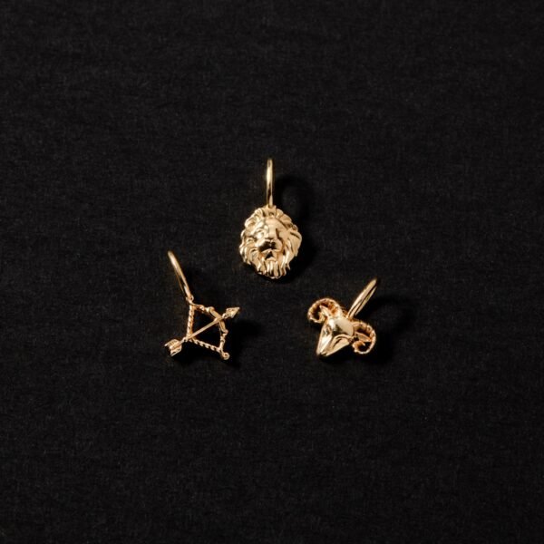 Tiniest Zodiac Charm - Image 13