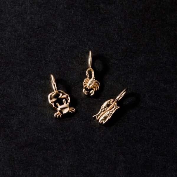 Tiniest Zodiac Charm - Image 12