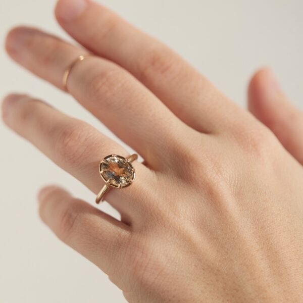 The Sun Ring - Image 3